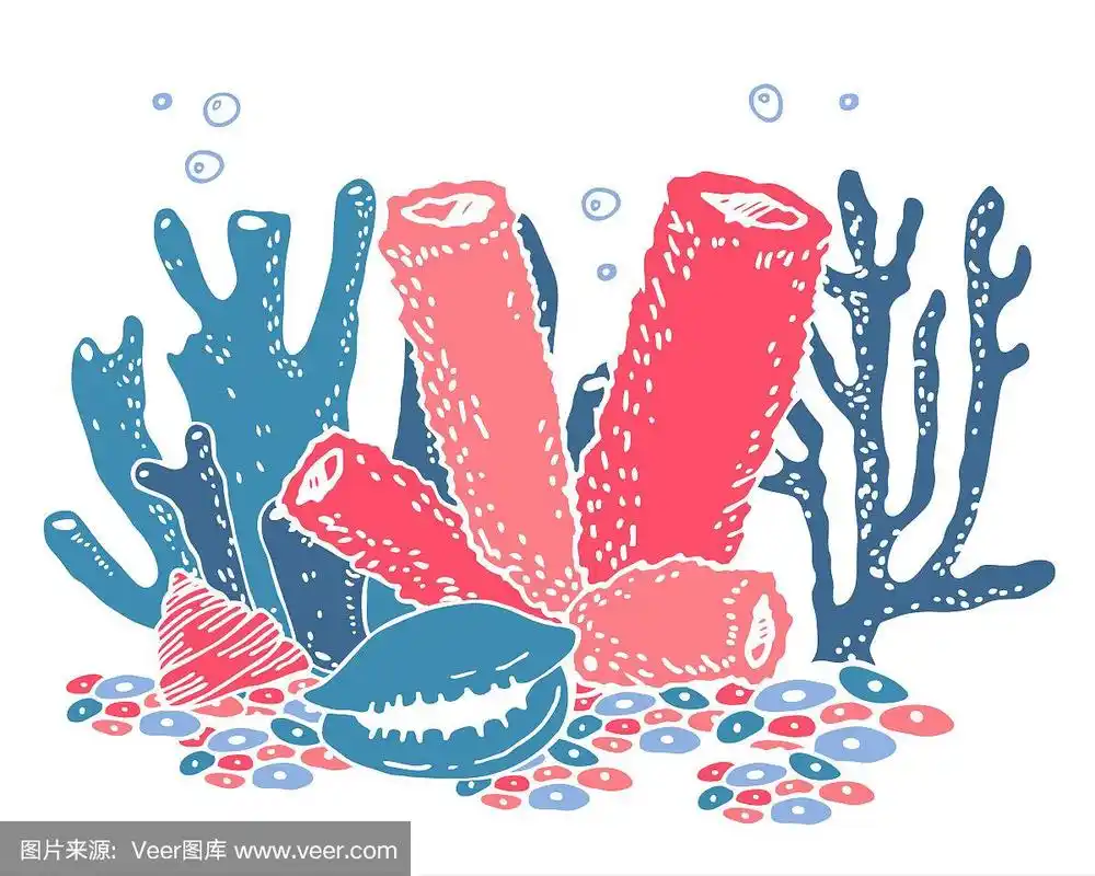 珊瑚,绘画插图,卡通,矢量,手