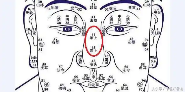 讲面相终极篇十四