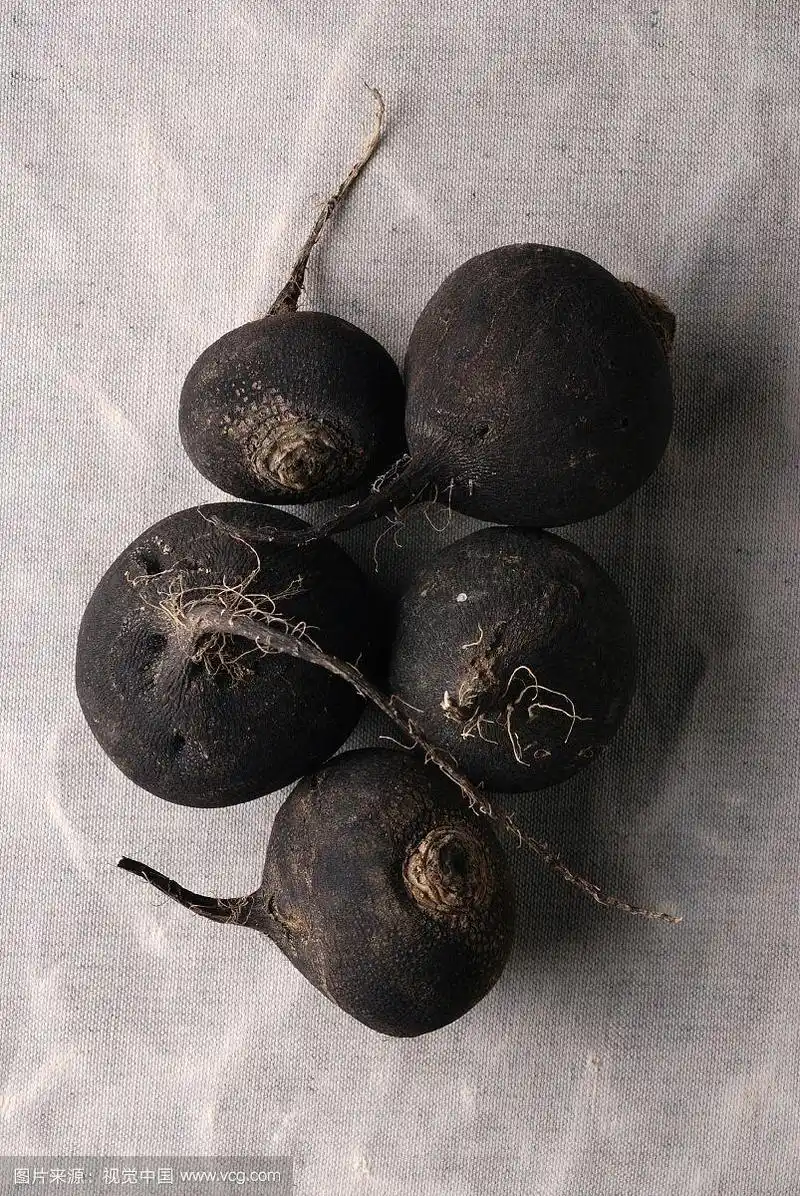 圆的黑萝卜