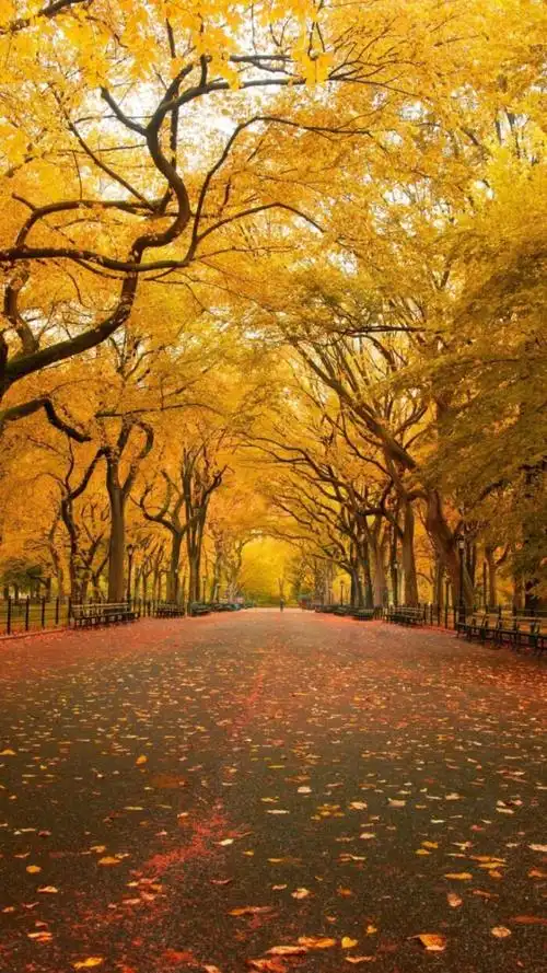 景物图片风景 景物图片风景头像