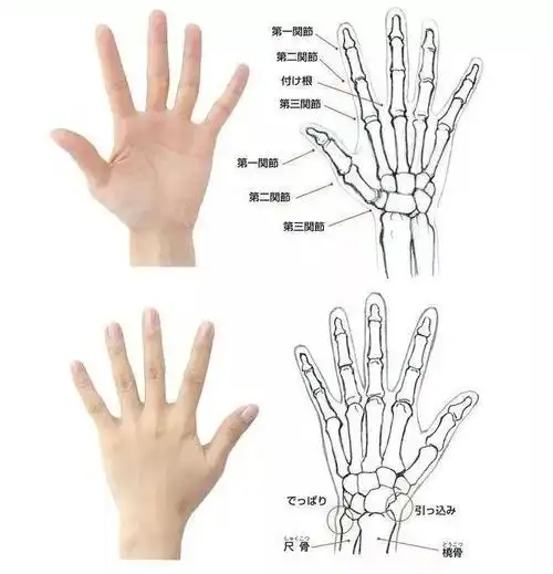 如何画手掌握正确方法后超简单