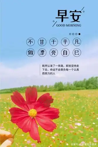 最温馨的早安问候正能量语句,唯美阳光,激发斗志