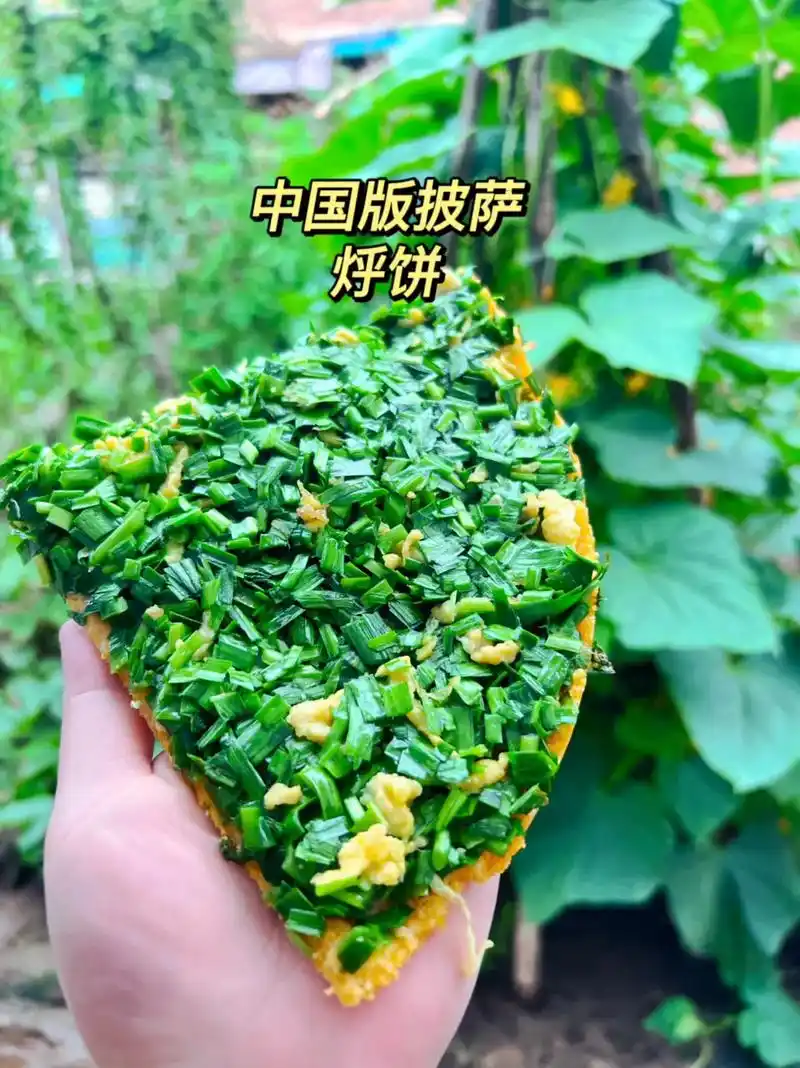 中国披萨…烀饼.准备玉米面和韭菜,鸡蛋. 2.韭菜切末. 3 - 抖音