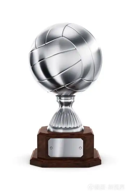 银排球的奖杯