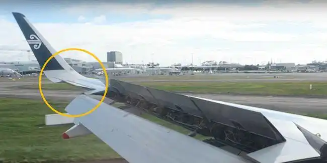 很忙很法国:副翼和谁在一起了?