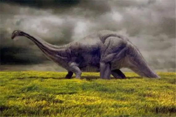 非洲猎龙是一种食肉性的恐龙牙齿很是锋利