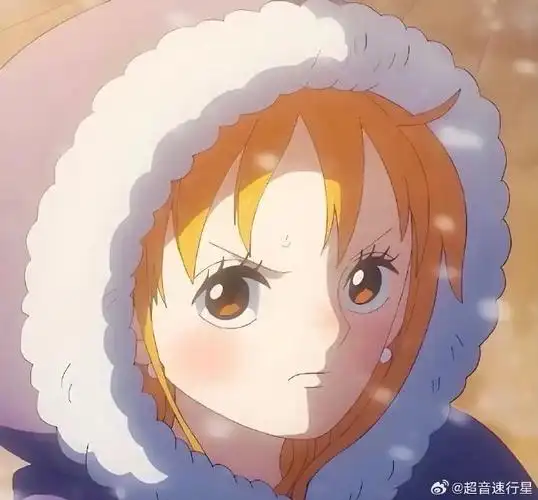 海贼王娜美永远18岁