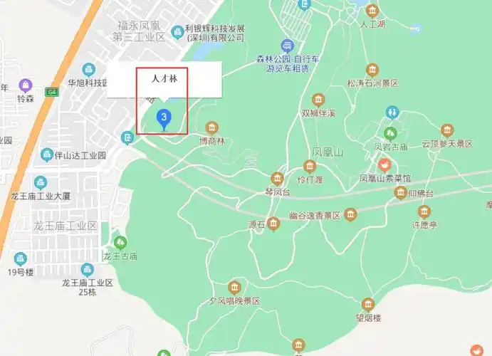 2020深圳宝安人才林公园即将开放地址看点交通指南