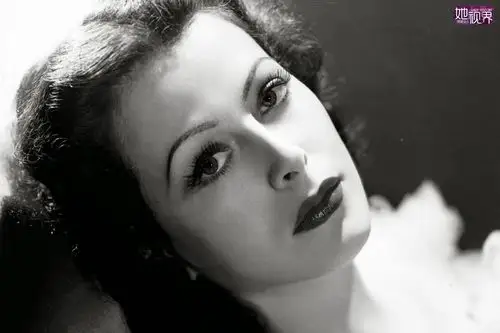 sharks teeth 的喜欢