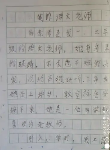 阳阳二年级所写的作文