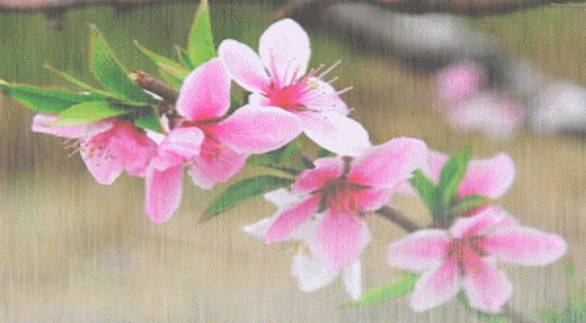 619_341gif 动态图 动图