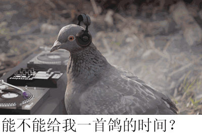 斗图表情包 - 金馆长表情库 - 真正的斗图网站 - pkdoutu.com