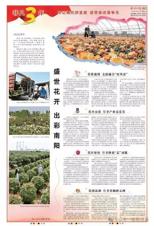 非凡3年·牢记嘱托拼发展 感恩奋进勇争先丨盛世花开 出彩南阳