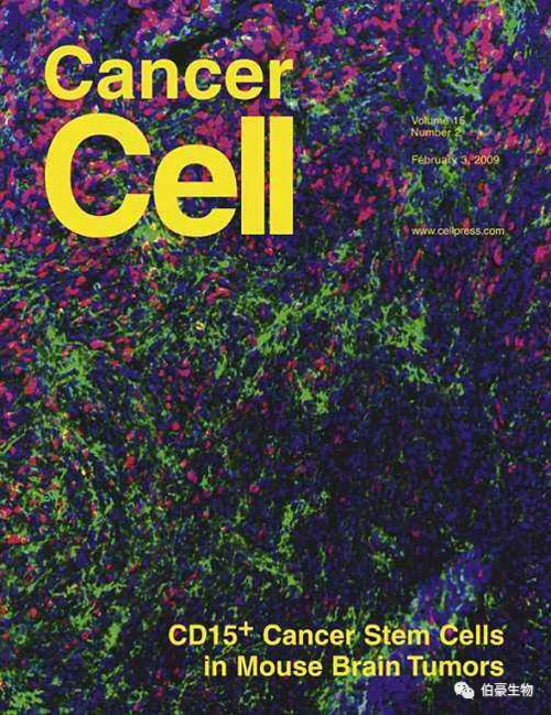 卵巢癌的非遗传异质性标题:the repertoire of serous ovarian cancer