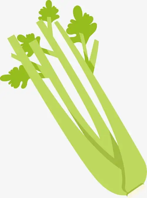 浅色矢量西芹卡通绿色