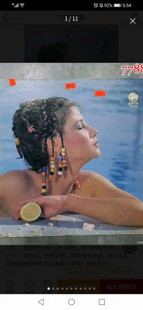 年轻时代的甄妮