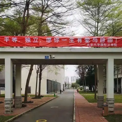 猫猫狗狗  当道德审判没有标准的时候,司法公正是最后的正义