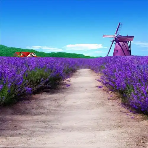 暖百合 山水外景网红快手抖音网红背景布主播3d直播背景墙风景视频