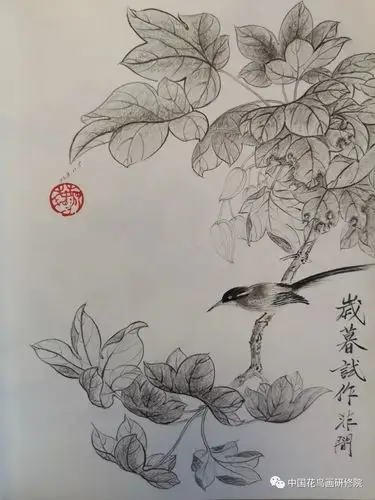 国画名家素描作品之"花鸟篇"
