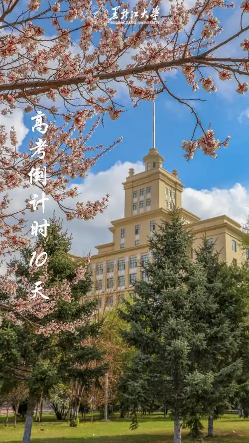 高考倒计时10天我们在黑龙江大学等你