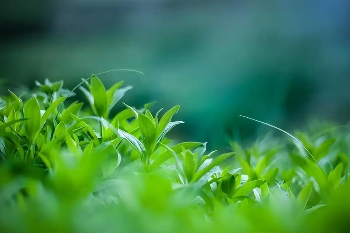 越是不好惹的人,越受人尊重,是有原因的
