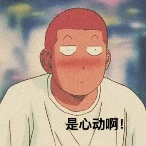 是心动啊(樱木花道表情包)