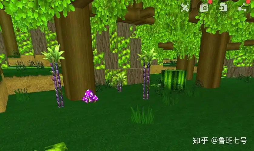 迷你世界大更新后的内容10版本更新附雨林版本讲解