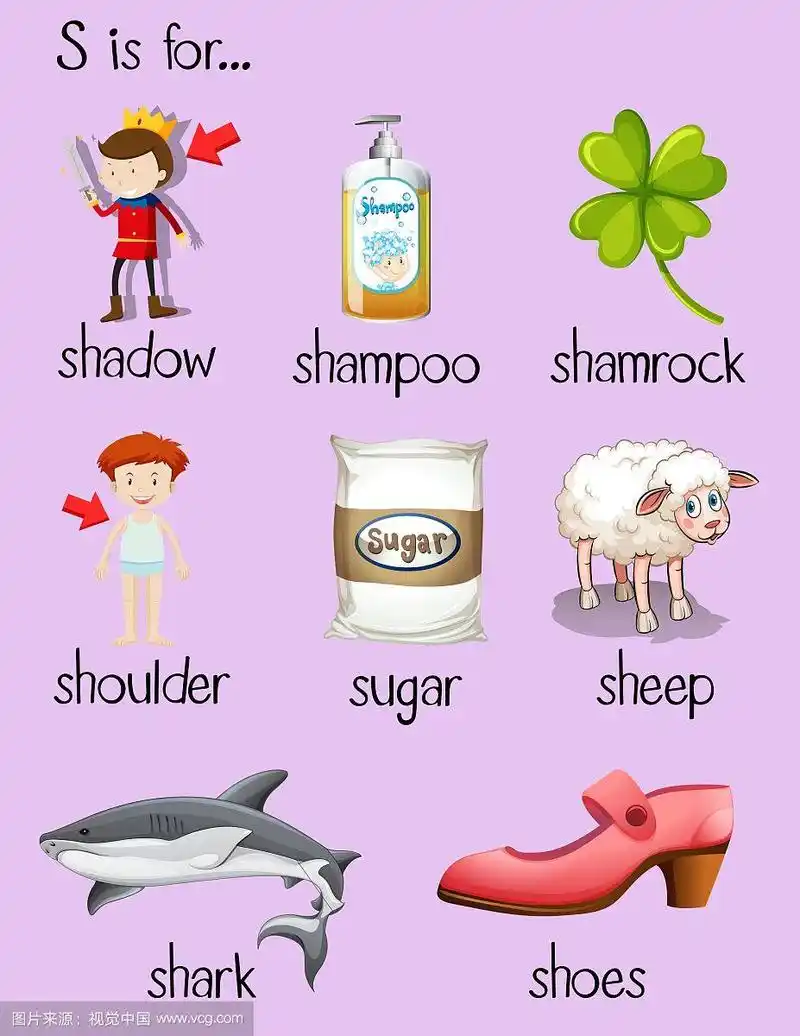 许多单词以字母s开头