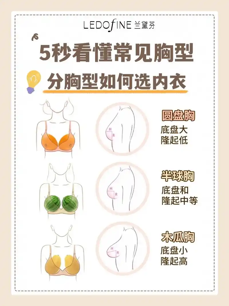 5秒看懂常见胸型 分胸型如 - 抖音