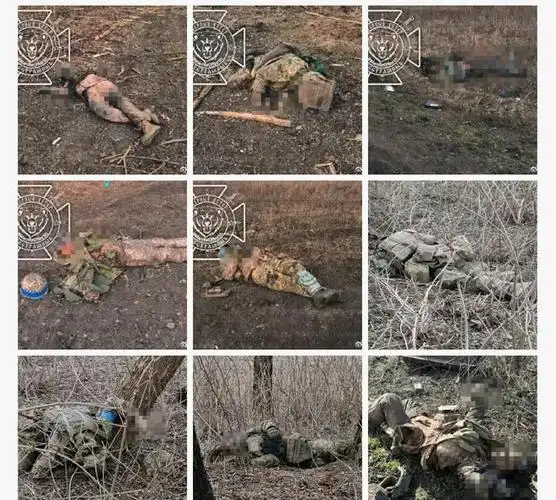 俄军截获的乌军第225旅通讯信息显示,苏贾边境的林带里,乌军士兵的