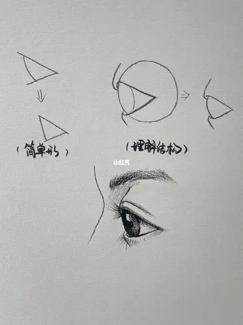 超详解侧面眼睛画法