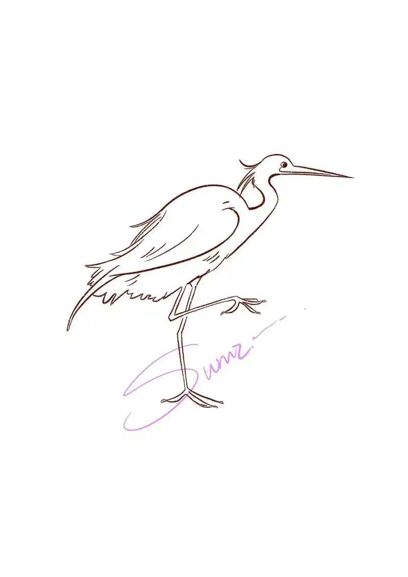 又菜又爱画 | 今天是白鹭哦.一只抓不到鱼95的白鹭!#pr - 抖音