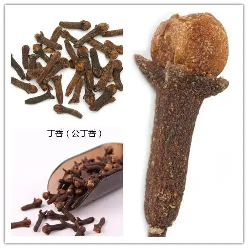 防疫中药——丁香