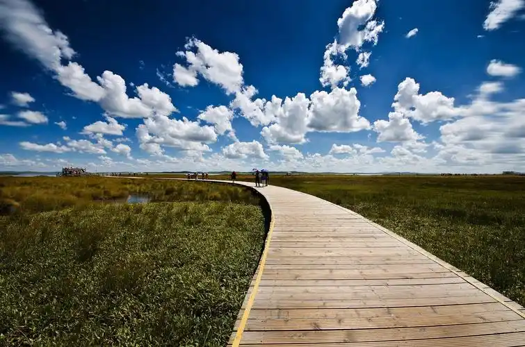 中国最美的湿地--《若尔盖花湖》