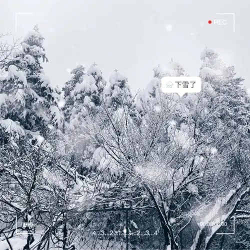 雪景总是百看不厌的
