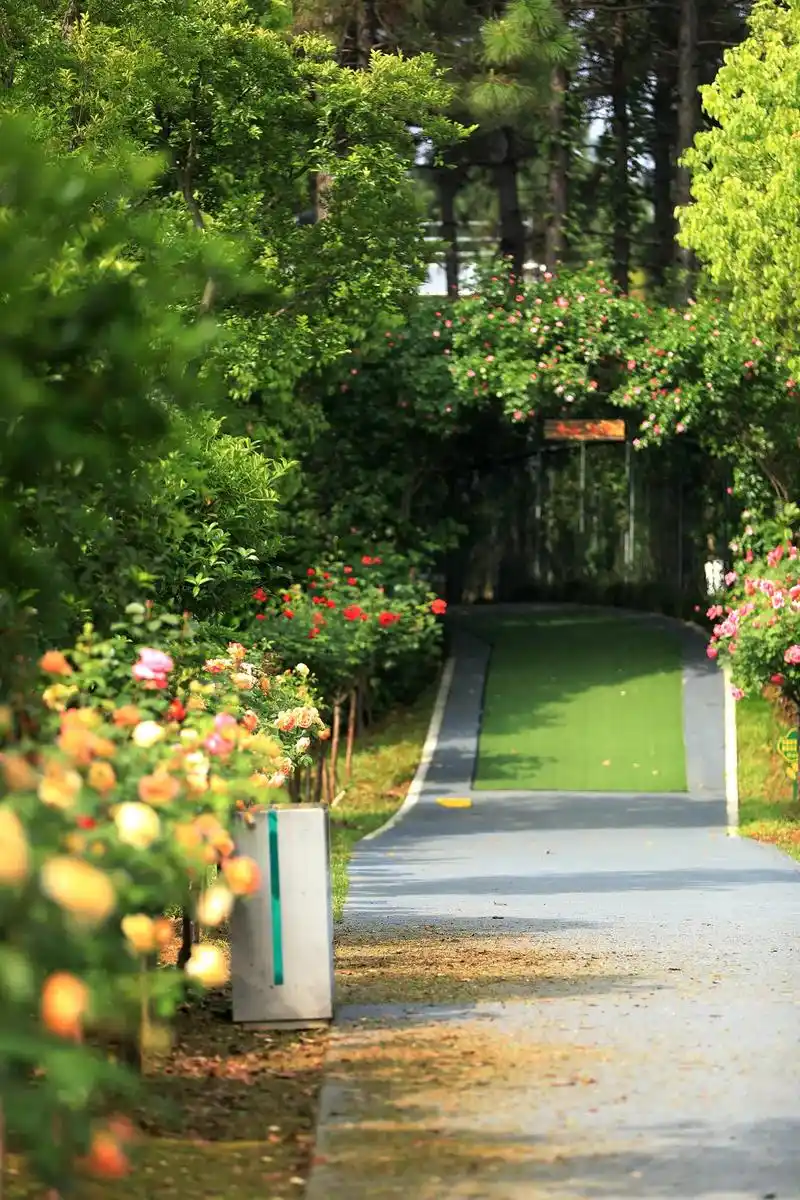 南京玫瑰园19.9预售倒计时中,满园浪漫与可爱萌宠国庆假期等 - 抖音