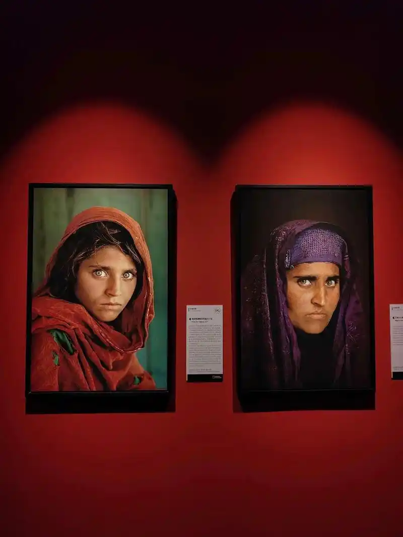 国家地理经典影像大展.#艺术展览 #视觉艺术 分享最喜欢的照 - 抖音