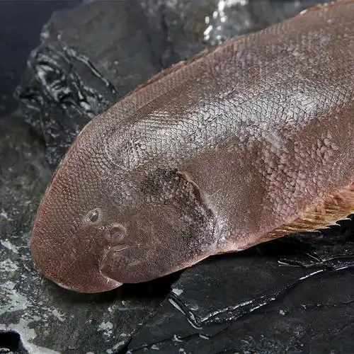 印度巴基斯坦舌鳎鱼进口要求解析——水产品清关前期该确认哪些?