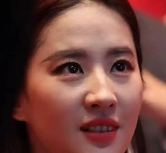 总体而言,通过以上这些明星的无滤镜无美颜照片,我们不难发现其实每个