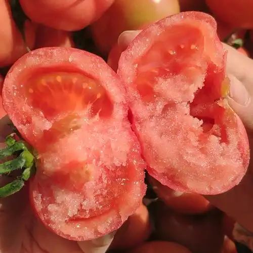 3斤装老味道农家自然熟西红柿黄金酸甜比例戴安娜薄皮沙瓤酸甜