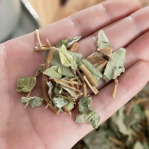 金钱中药材野生泡茶中草药大叶新货500g广金钱草