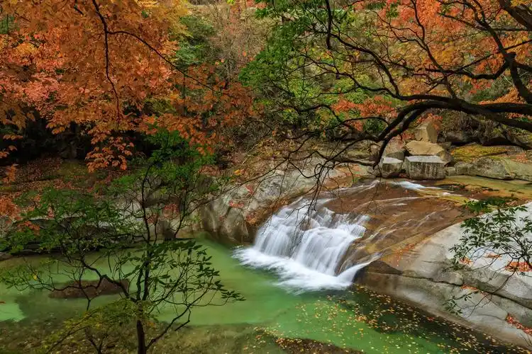 在最美的季节,到最美的地方,看到最美的风景!