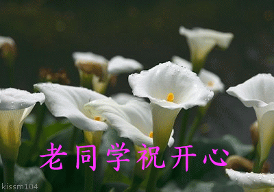 老同学一辈子很短能聚就聚吧告所有老同学