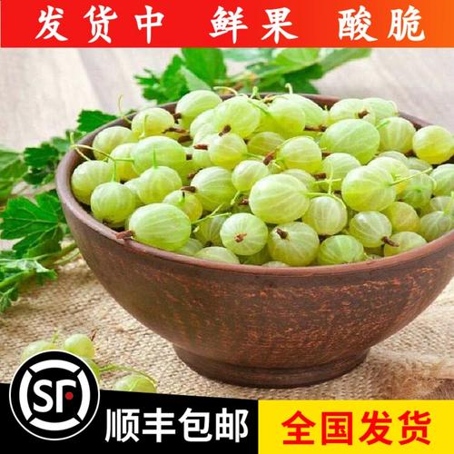 灯笼果新鲜醋栗野生浆果酸梅粒刺么果酸钉子刺梨鲜果东北新鲜水果