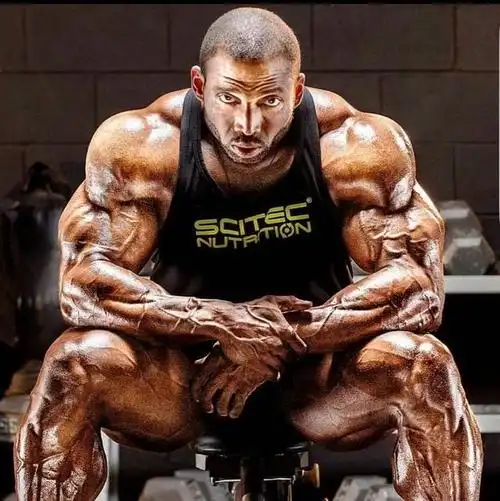 一篇文章帮你扫盲_健美_新浪竞技风暴_新浪网