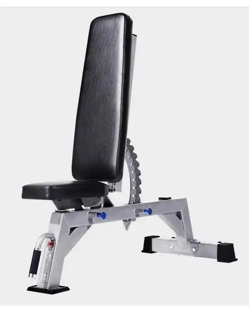 哑铃椅飞鸟卧推凳子用重型哑铃凳可调训练凳q170系方管哑铃凳银色