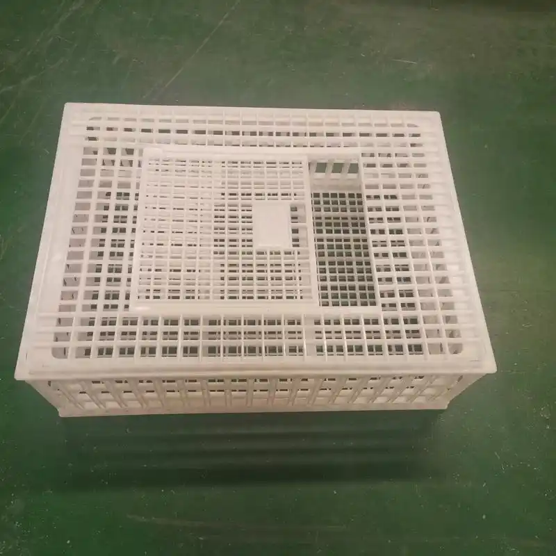 塑料鸡笼子 成鸡塑料笼子 塑料笼 天仕利塑业