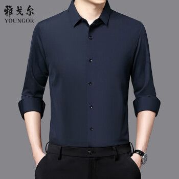 雅戈尔长袖衬衫男士秋季新款桑蚕丝免烫抗皱翻领休闲纯色衬衣上青170