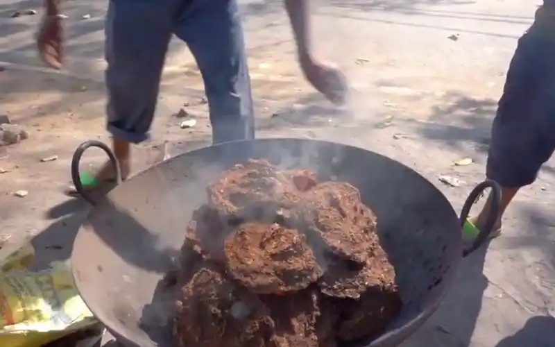 印度牛粪饼烤番茄和茄子敢看不敢吃