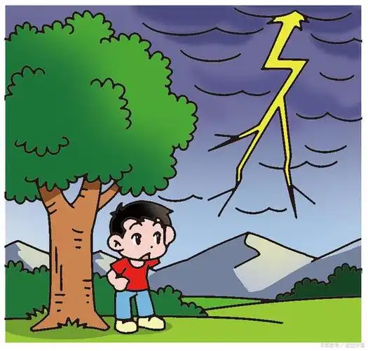 为什么雷雨天不能在树下躲雨